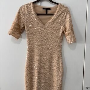 BCBGMaxAzria Blush Sequin Bodycon Mini Dress